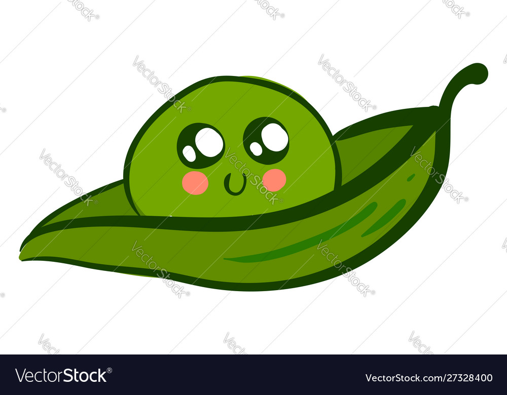 Vector Single Sketch Pea Pod free image download