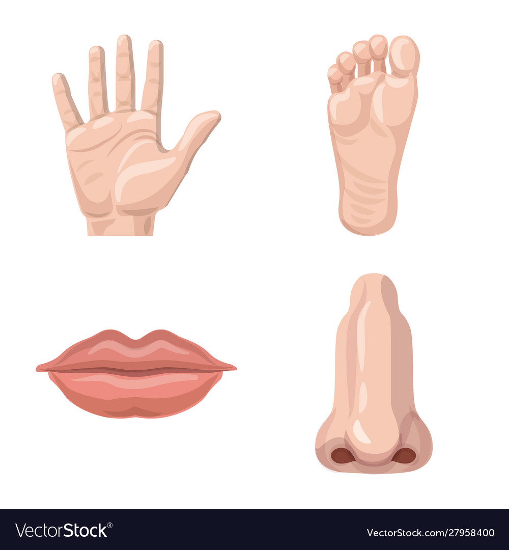 Design human and part symbol collection vector image Design human and part symbol collection