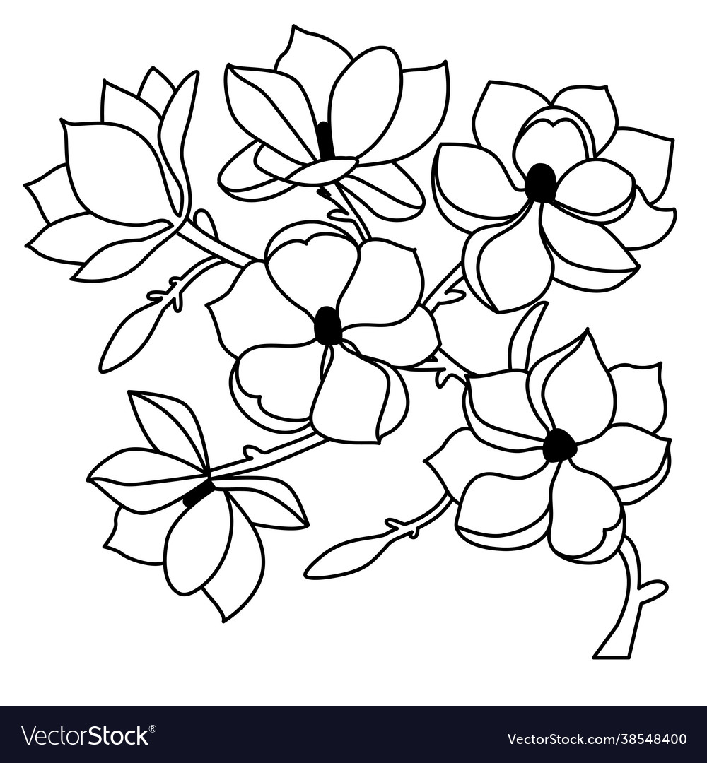 Magnolia Branch with Flowers
