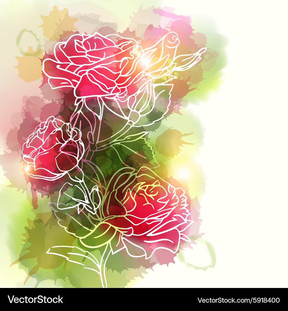 Roses Royalty Free Vector Image - VectorStock