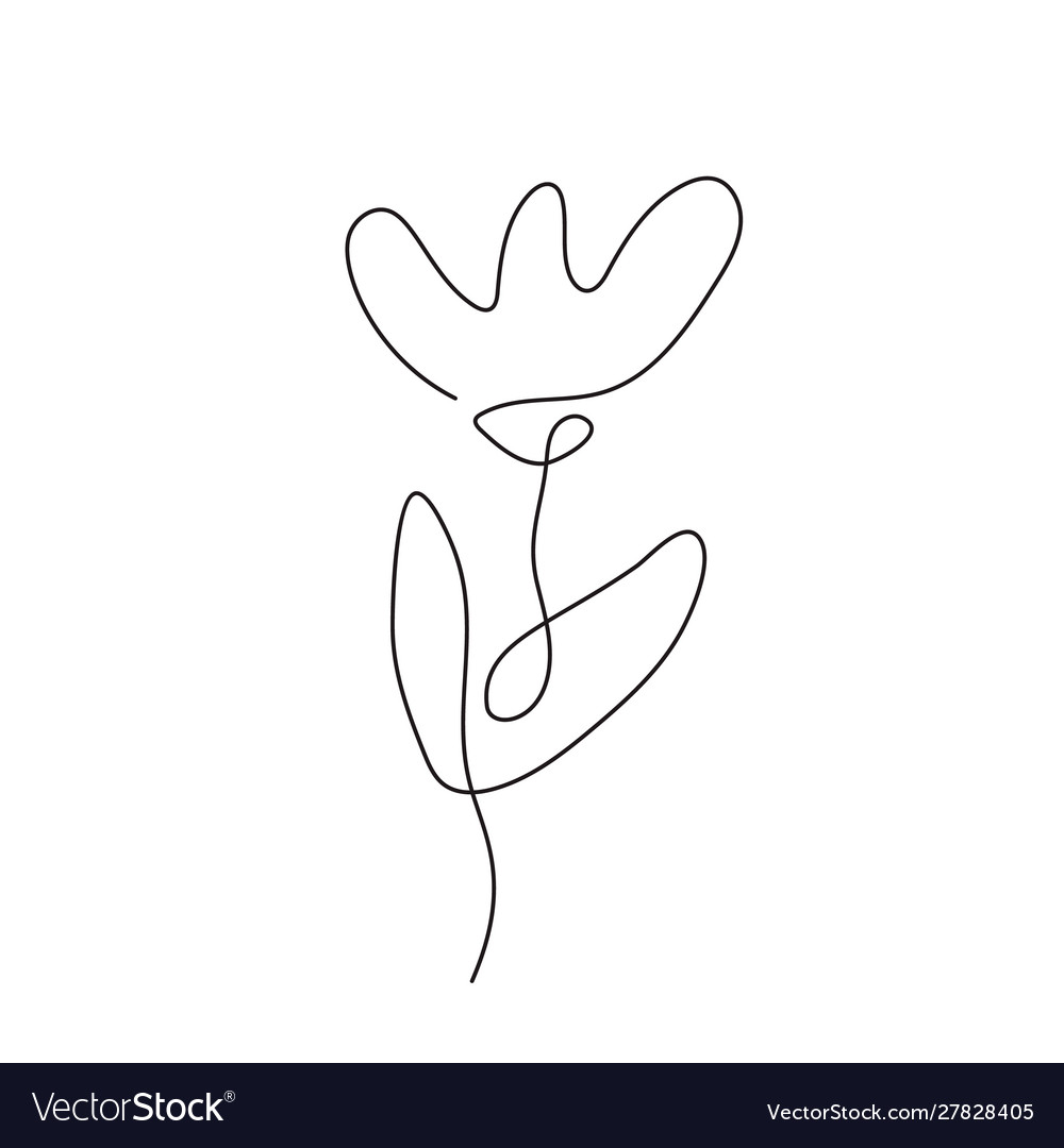 Continuous line hand drawing calligraphic