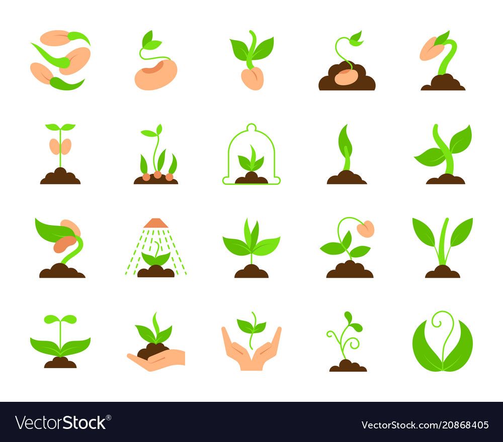 Sprout simple flat color icons set vector image Sprout simple flat color icons set