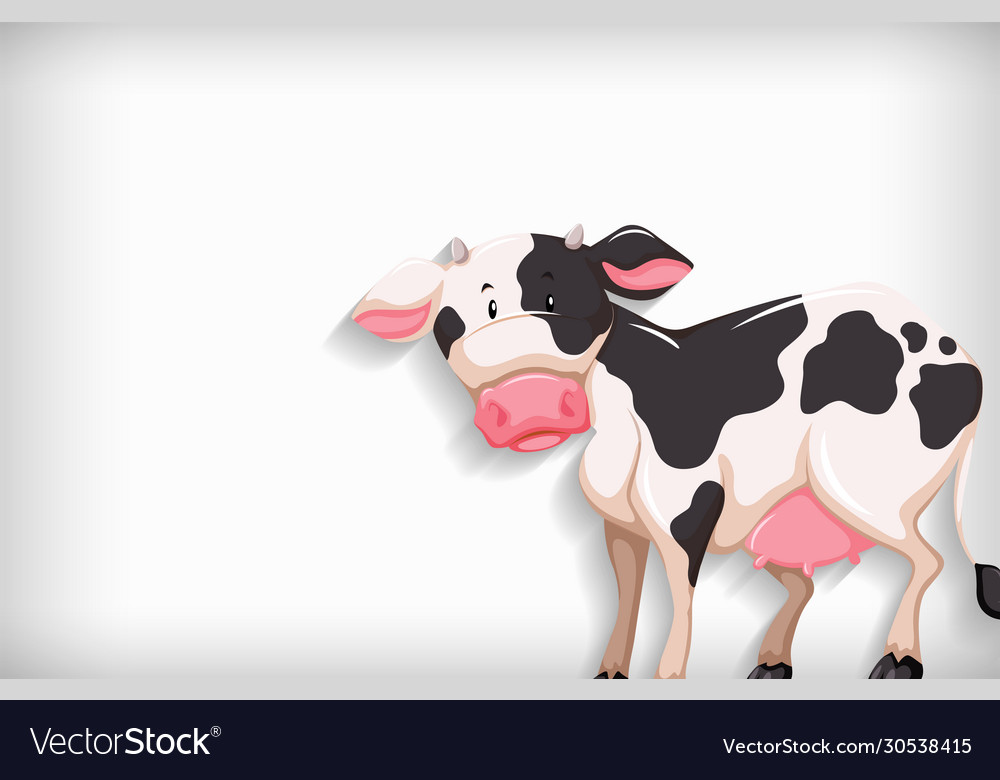 Background template with plain color and cow vector image Background template with plain color and cow