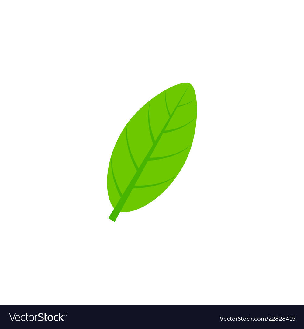 Elliptic leaf flat icon Royalty Free Vector Image