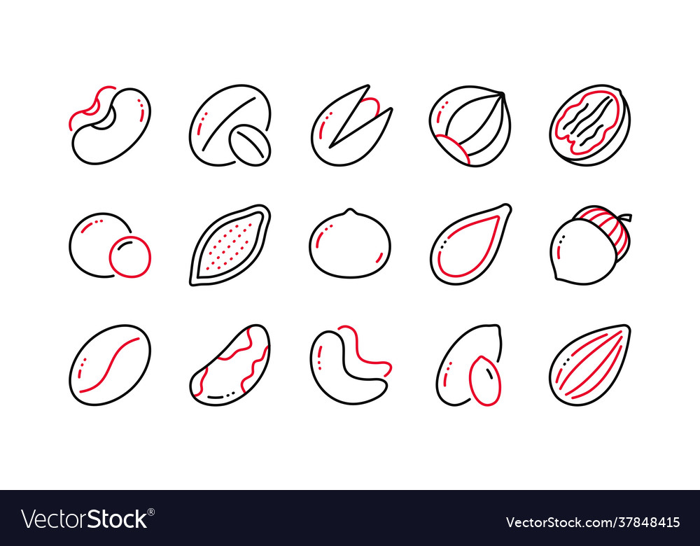 Nüsse und Samen Linie Icons Haselnuss Mandelnuss