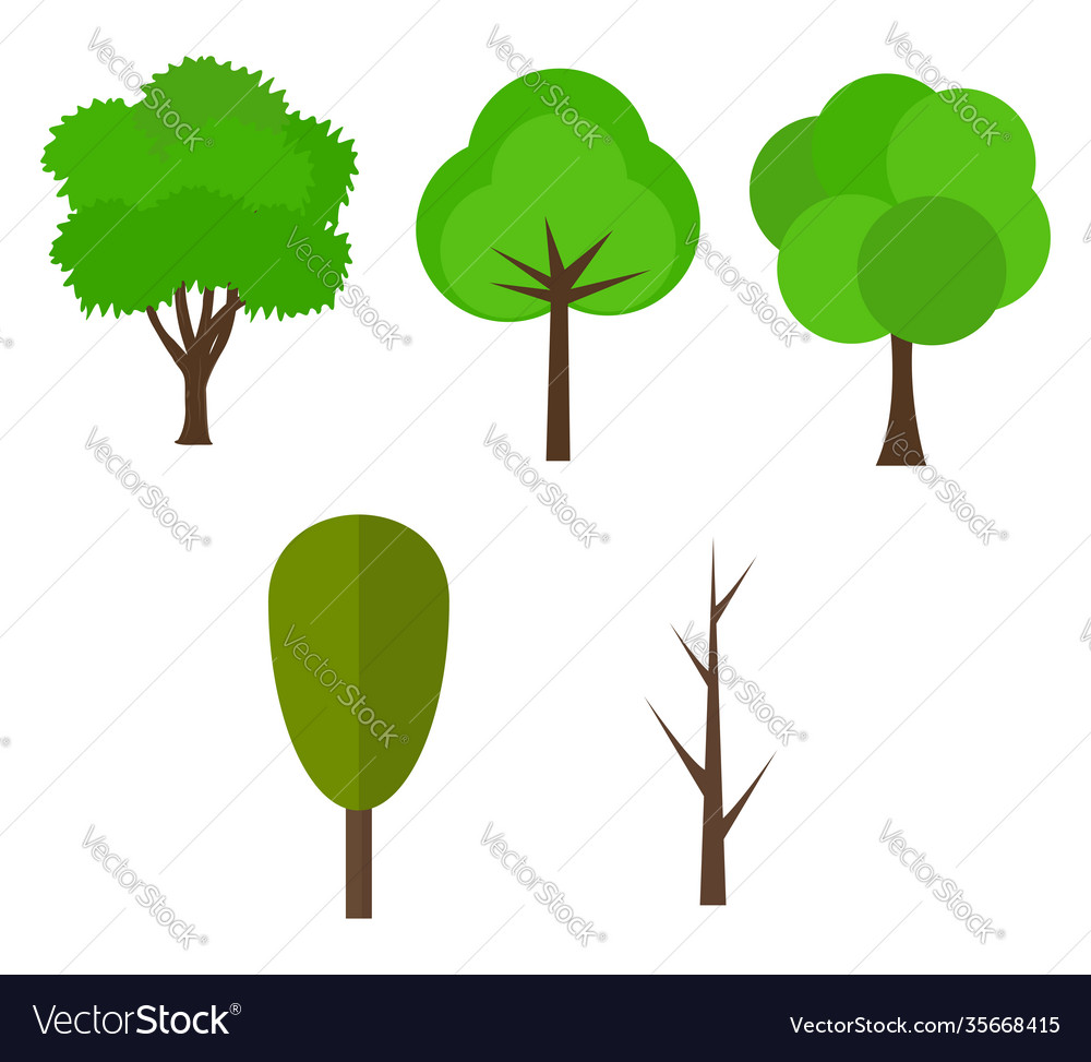 Tree evolving on white background