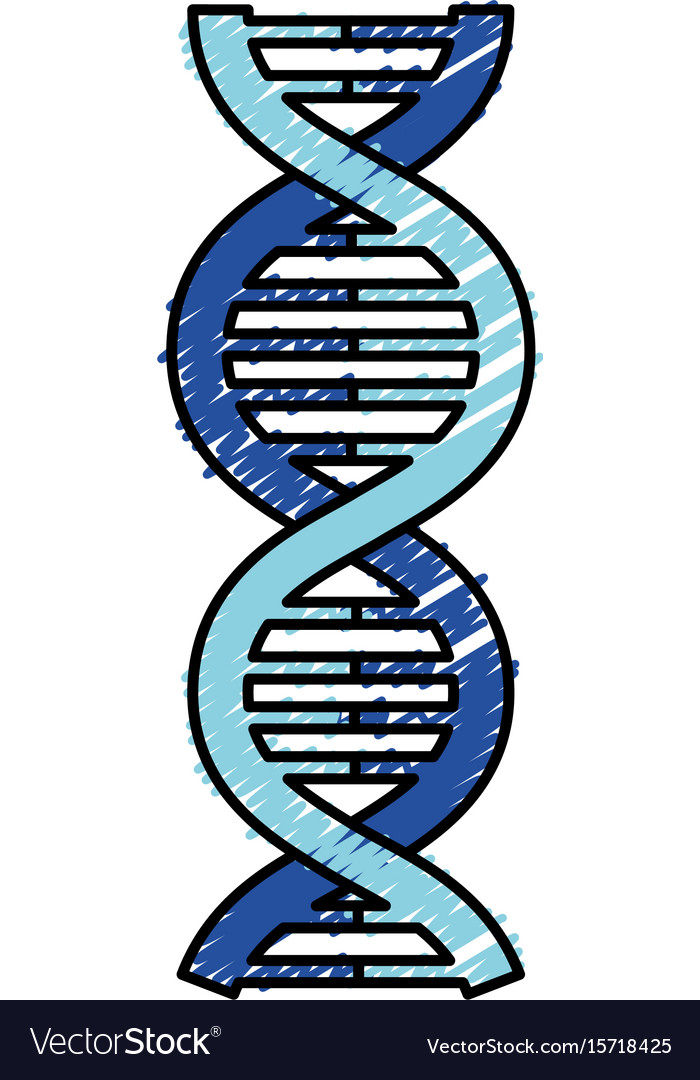 Dna molecule isolated icon Royalty Free Vector Image