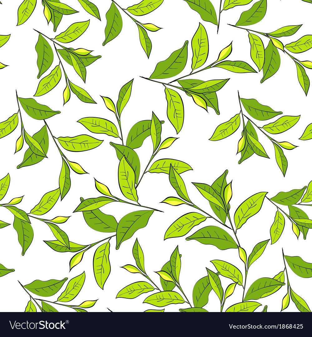 Leaf Pattern Background