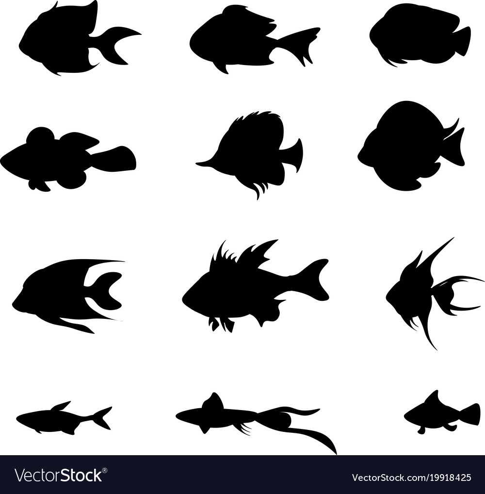 Set black fish isolated on the white