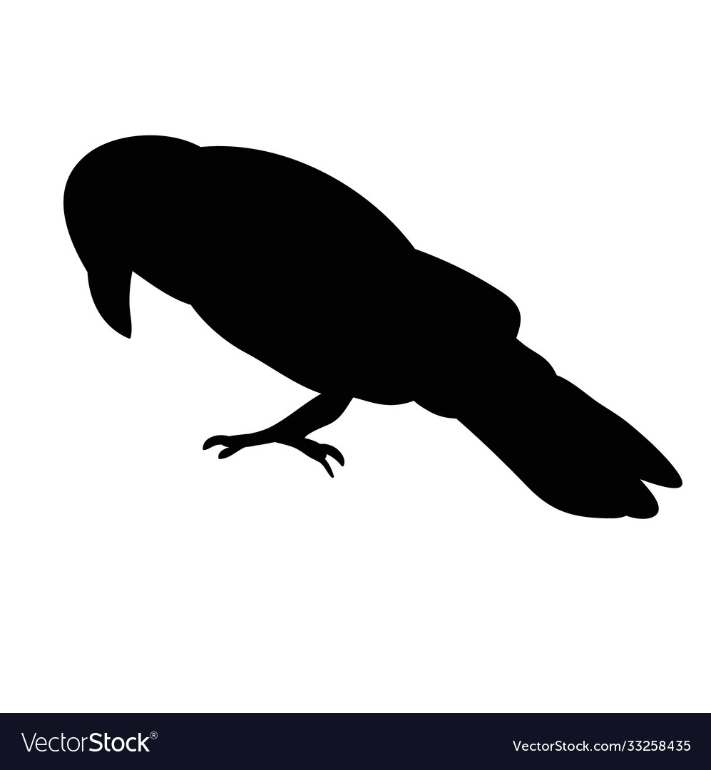 Isolated silhouette a bird ravens Royalty Free Vector Image