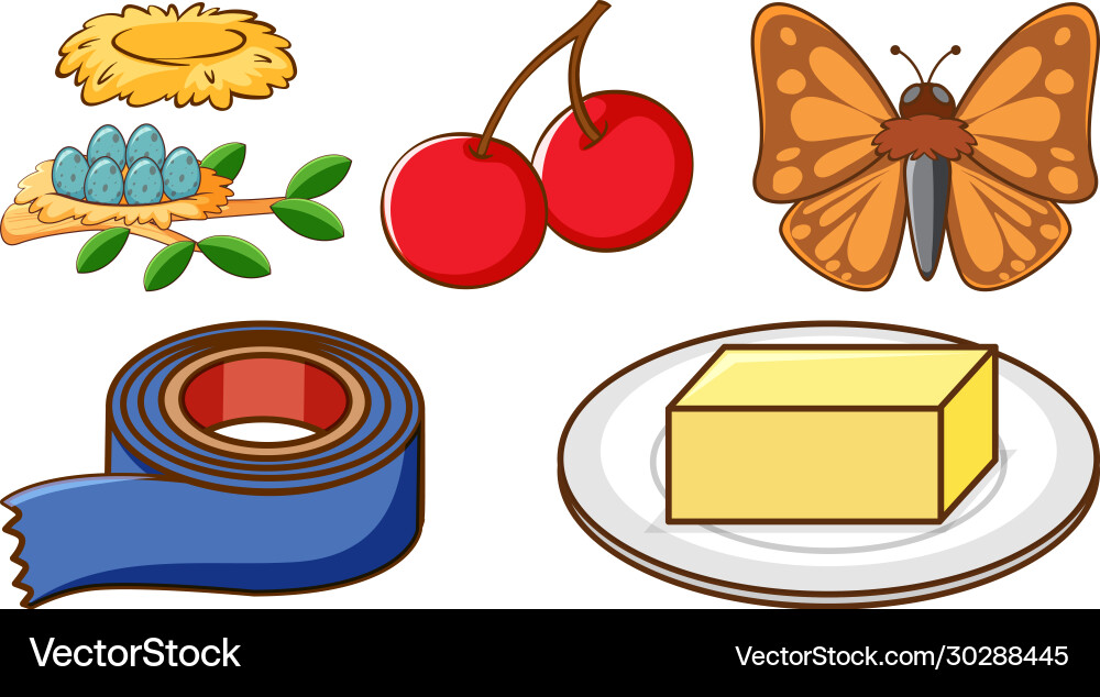 Large set different animals and other objects Vector Image