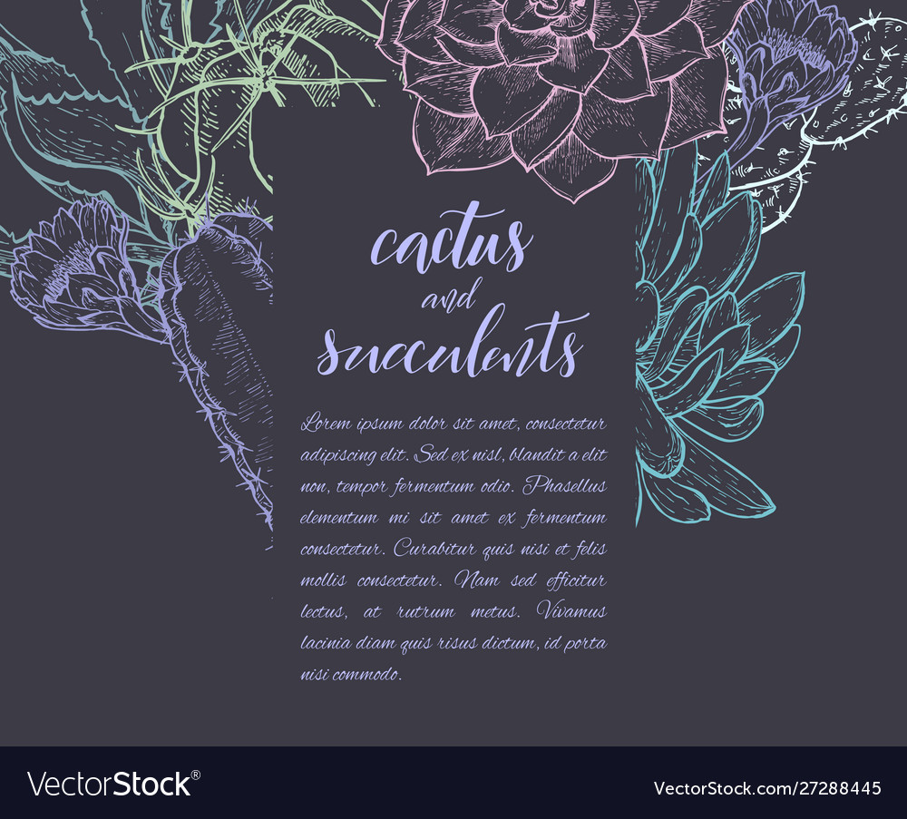 Sketch linear cactus ans succulents