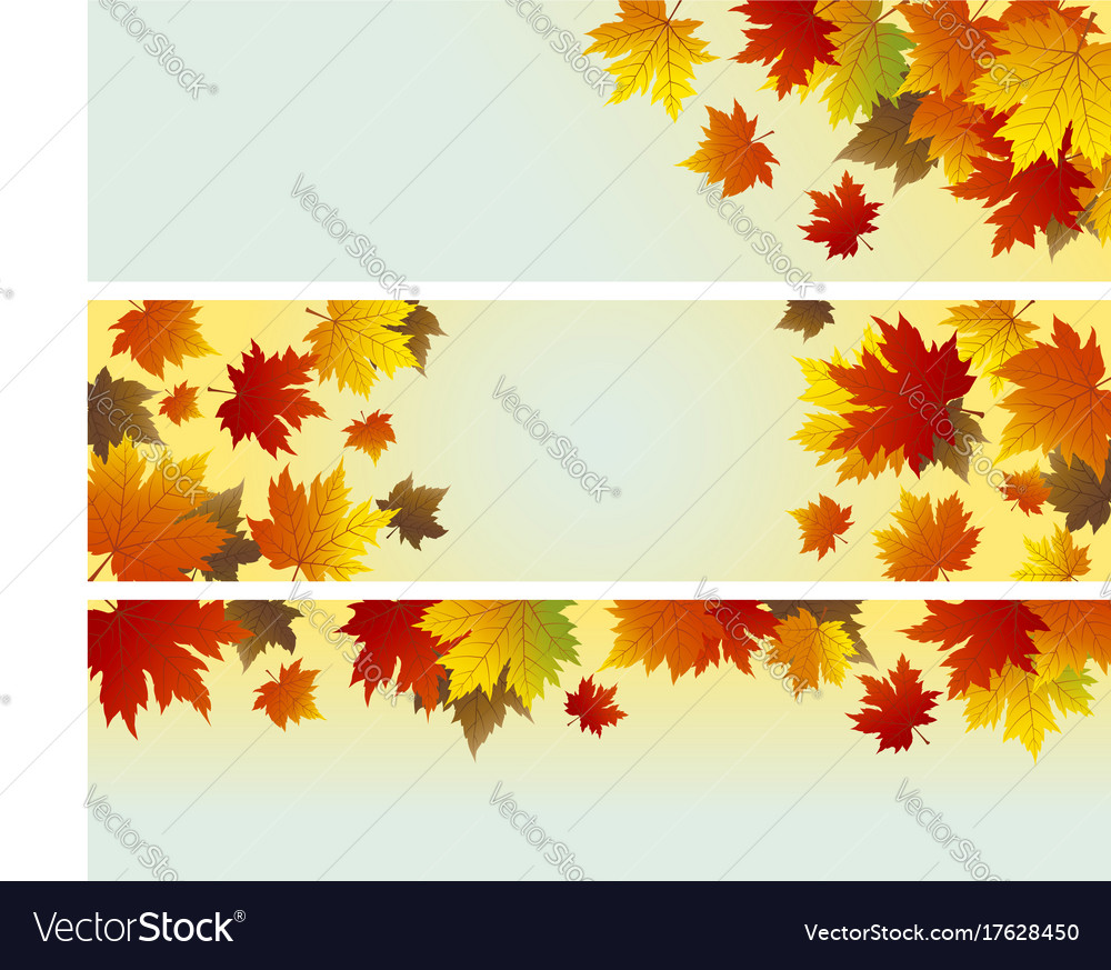 Autumn background design of maple leaves Vector Image