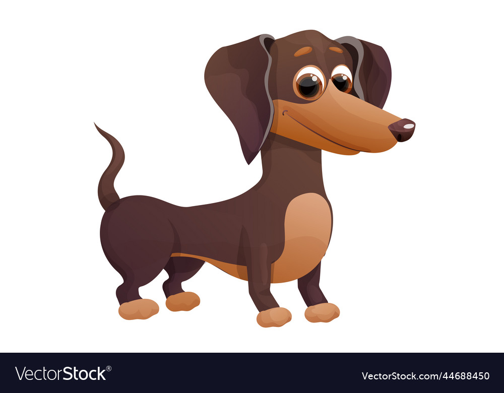 Cute dachshund puppy standing and smiling