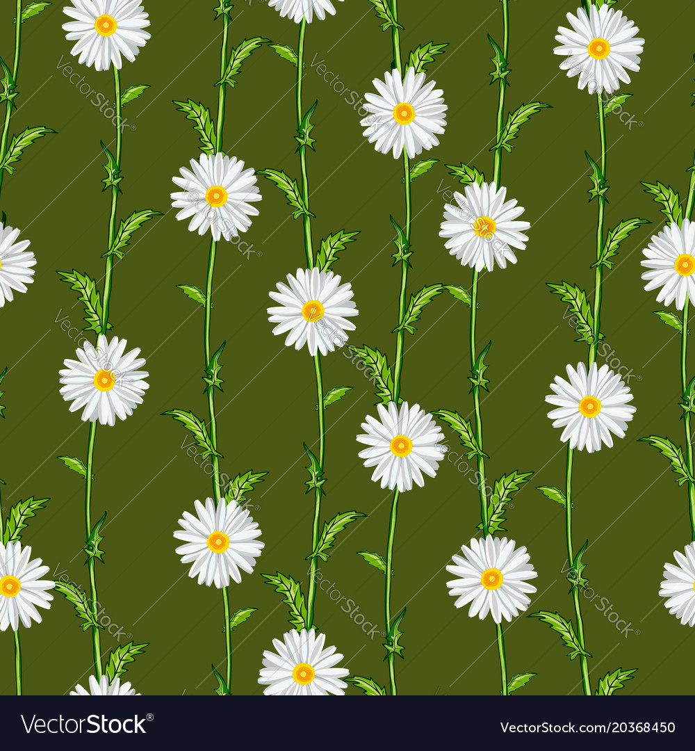 Seamless pattern from field chamomiles