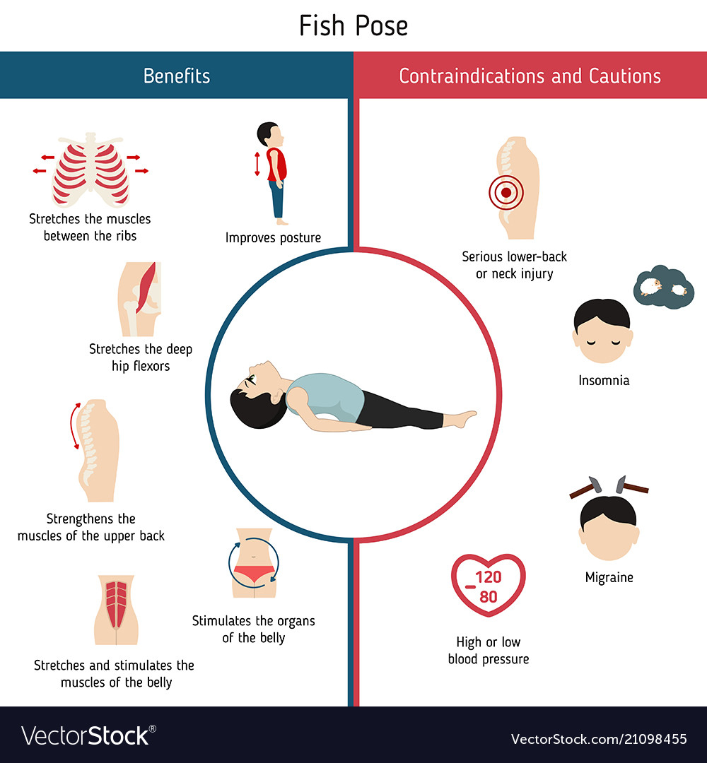 Infographics of yoga pose Royalty Free Vector Image