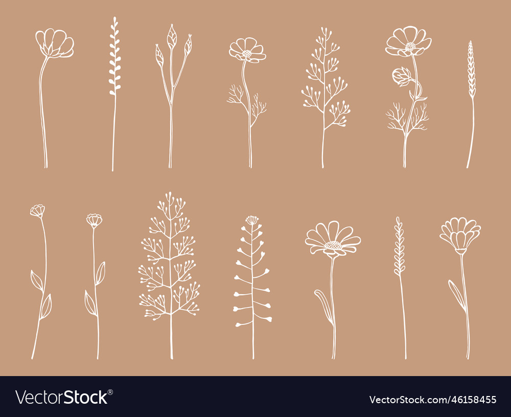 Set of herbs and wild flowers hand drawn floral