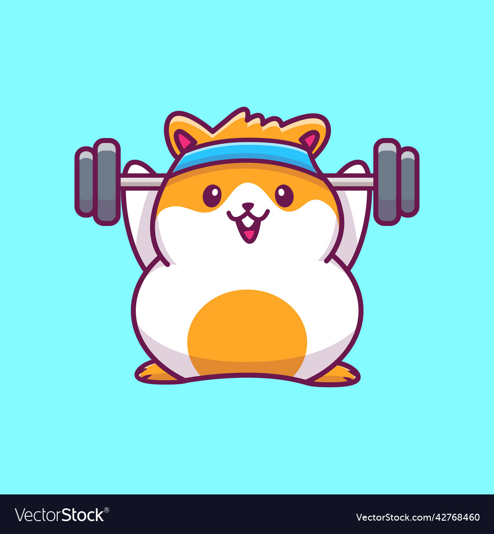 Hamster gym hot sale