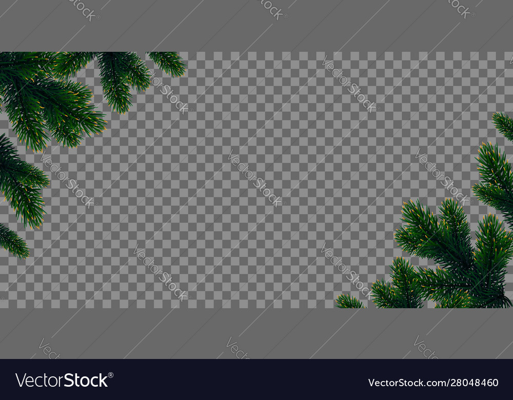 Green christmas tree branches vector image Green christmas tree branches