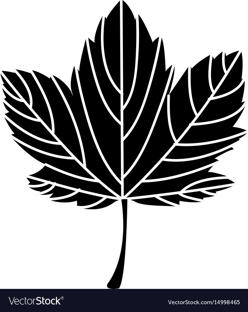 Leaf Plant Seasonal Icon Royalty Free Vector Image