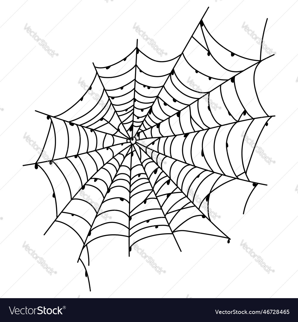 Scary spider web isolated spooky halloween Vector Image