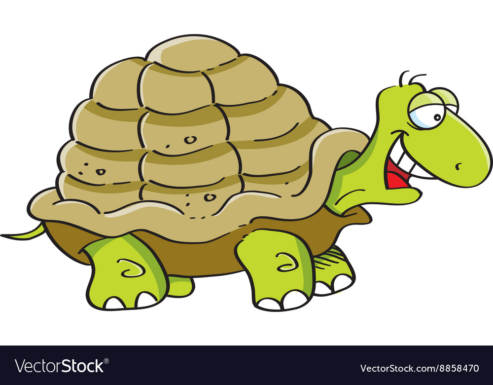 Cartoon Turtle Royalty Free Vector Image - Vectorstock