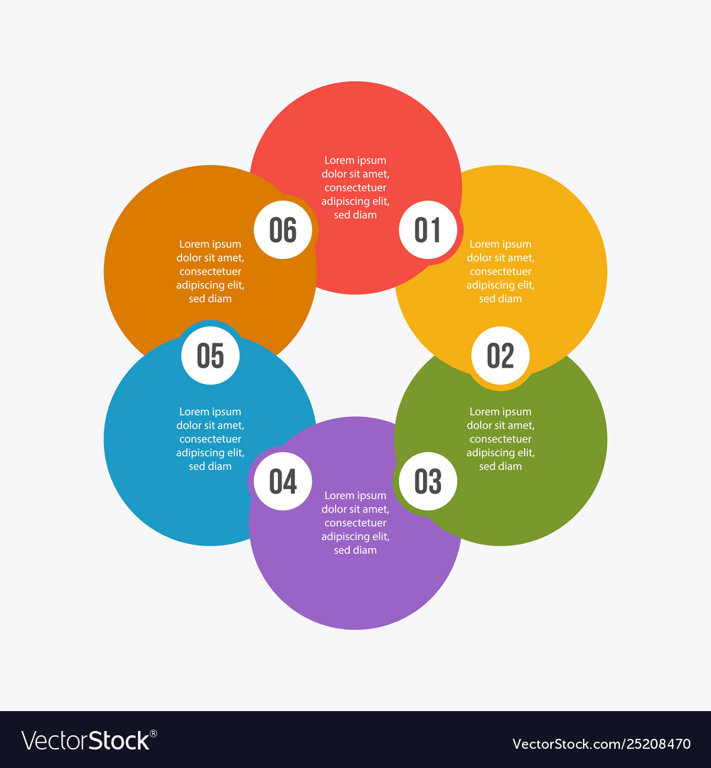 Kreisdiagramm Infografik oder Kreis