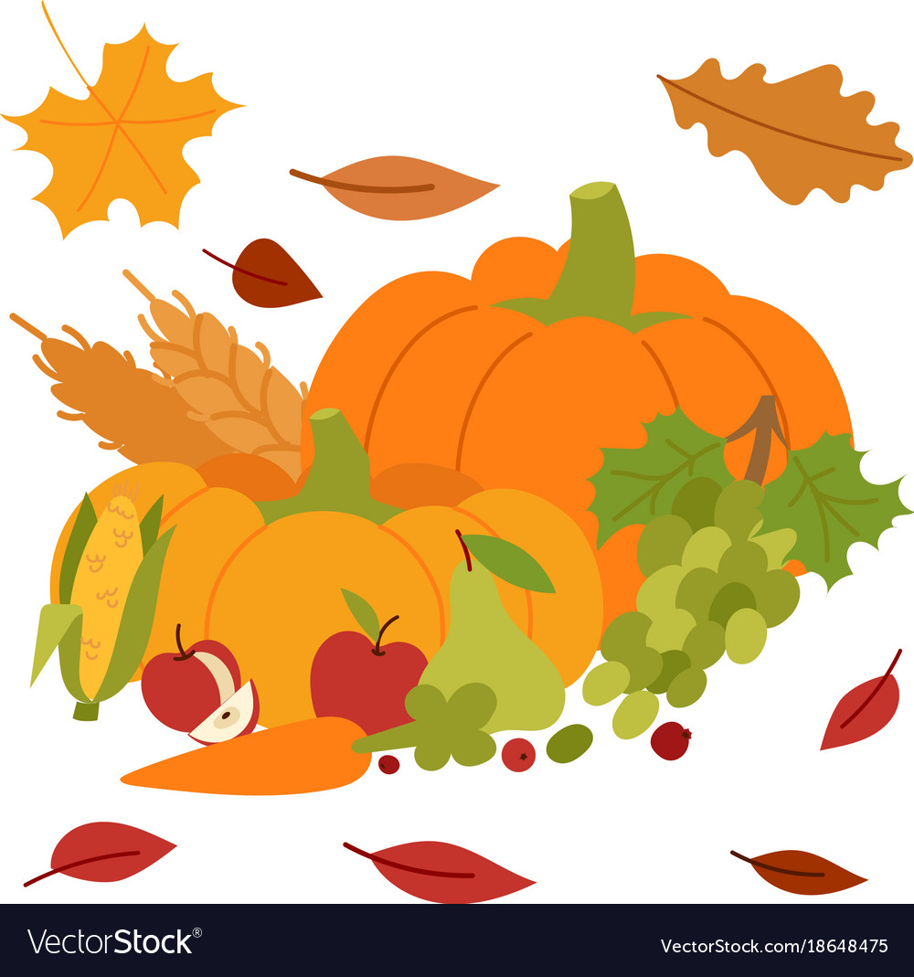 Fresh pumpkin thanksgiving decorative seasonal Vector Image