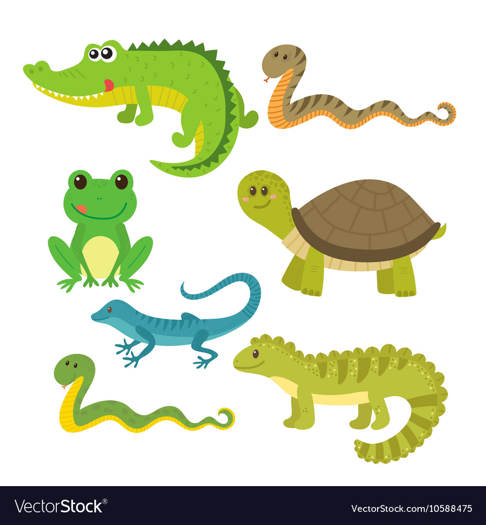 Set of creeping things wild animals Royalty Free Vector