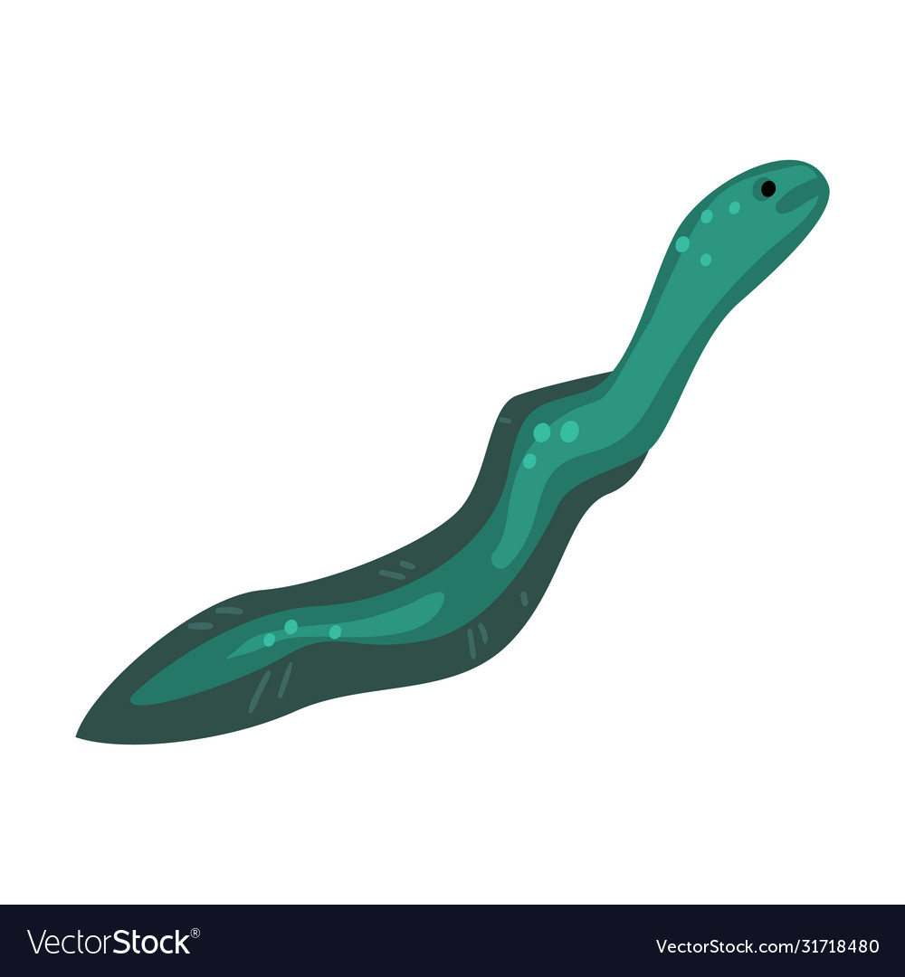 Eel fish marine life element sea or ocean Vector Image