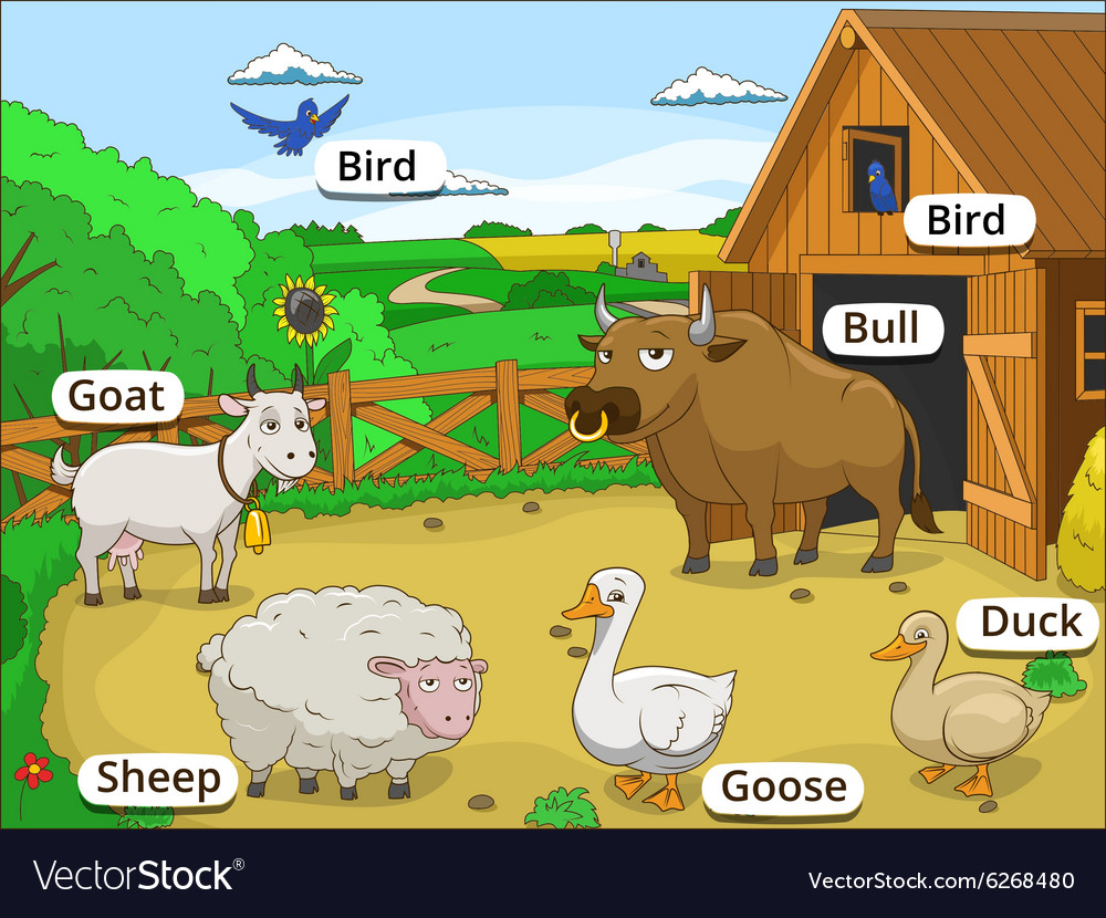 farm-animals-with-names-cartoon-educational-vector-image