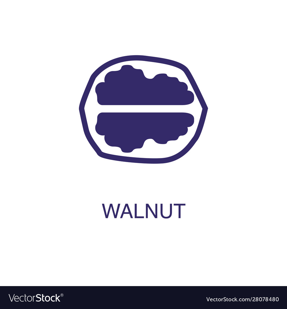 Walnut element in flat simple style on white