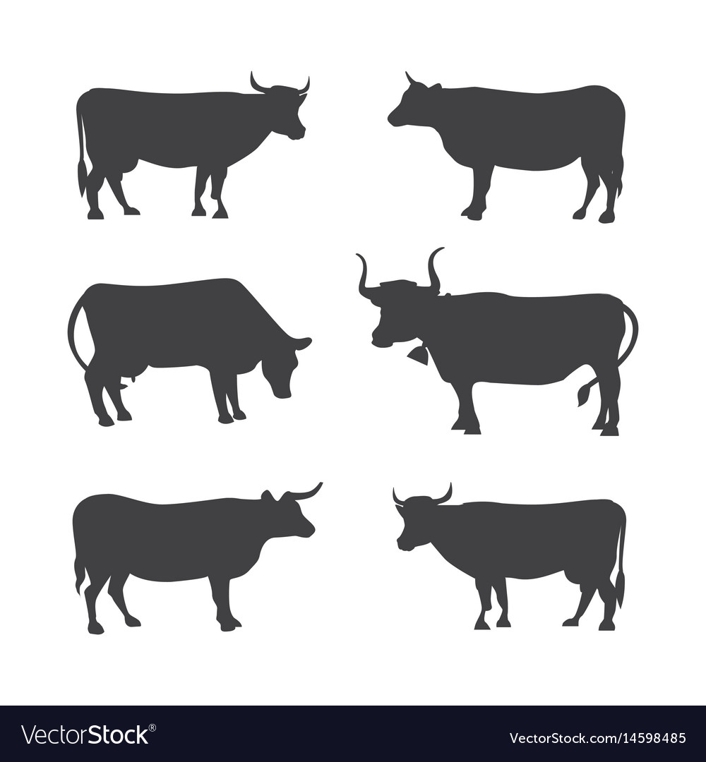 Collection of Cow Silhouettes