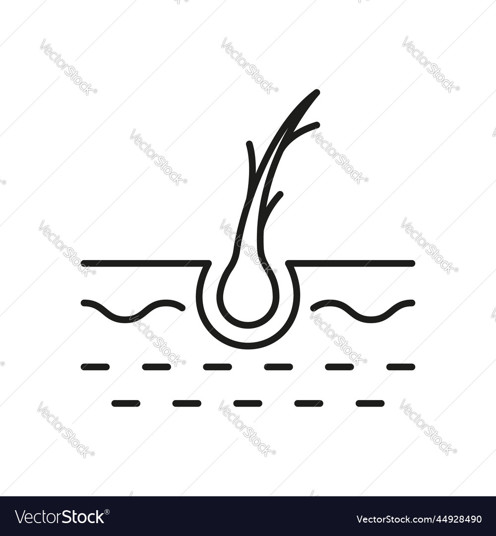 Hair Split Ends Line Icon Damage Follicle Black Vector Image Hair Split Ends Line Icon Damage Follicle Black Vector Image