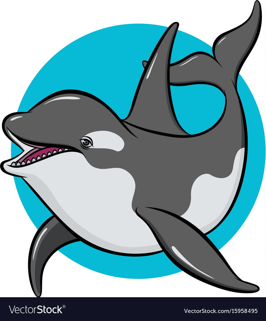 Colorful art orca