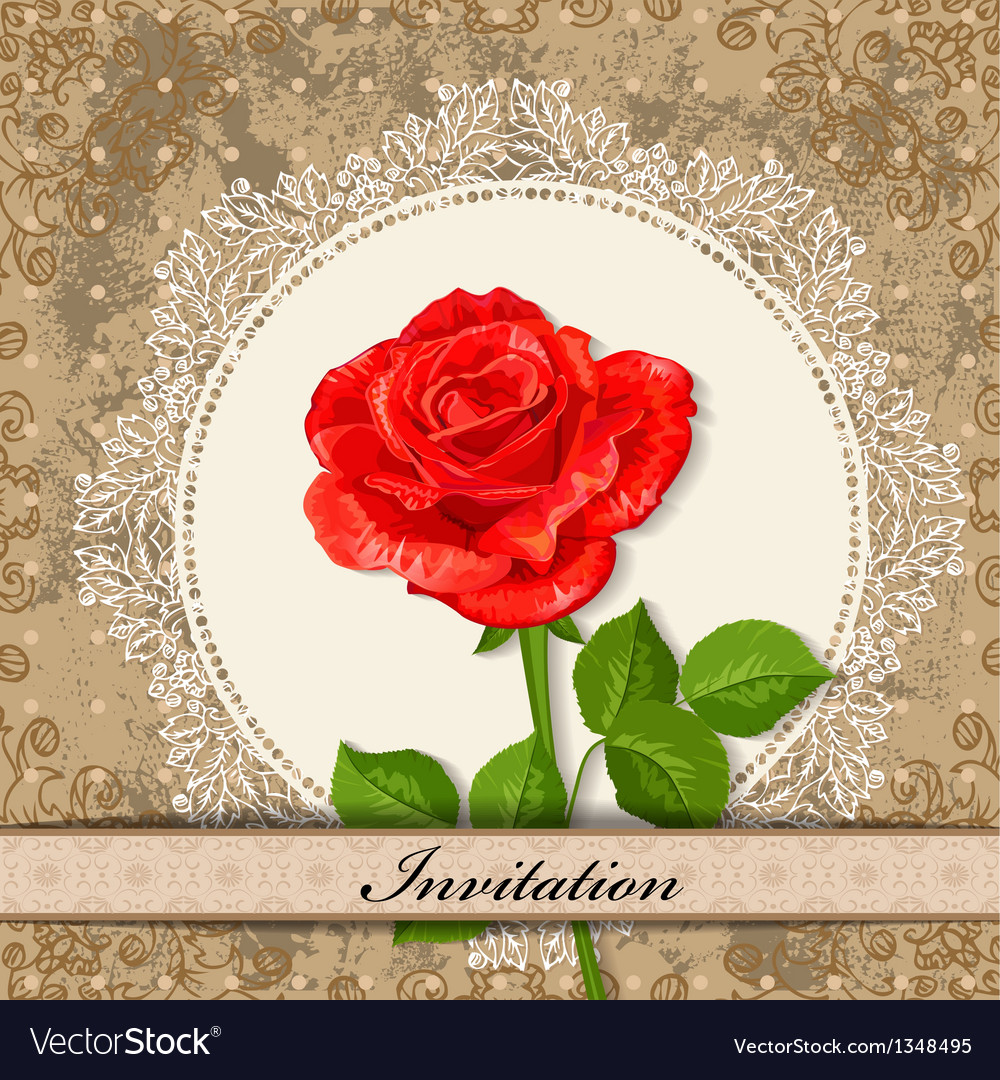 Invitation rose