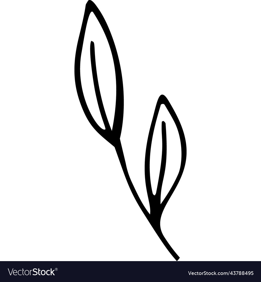 Leaf twig doodle Royalty Free Vector Image - VectorStock