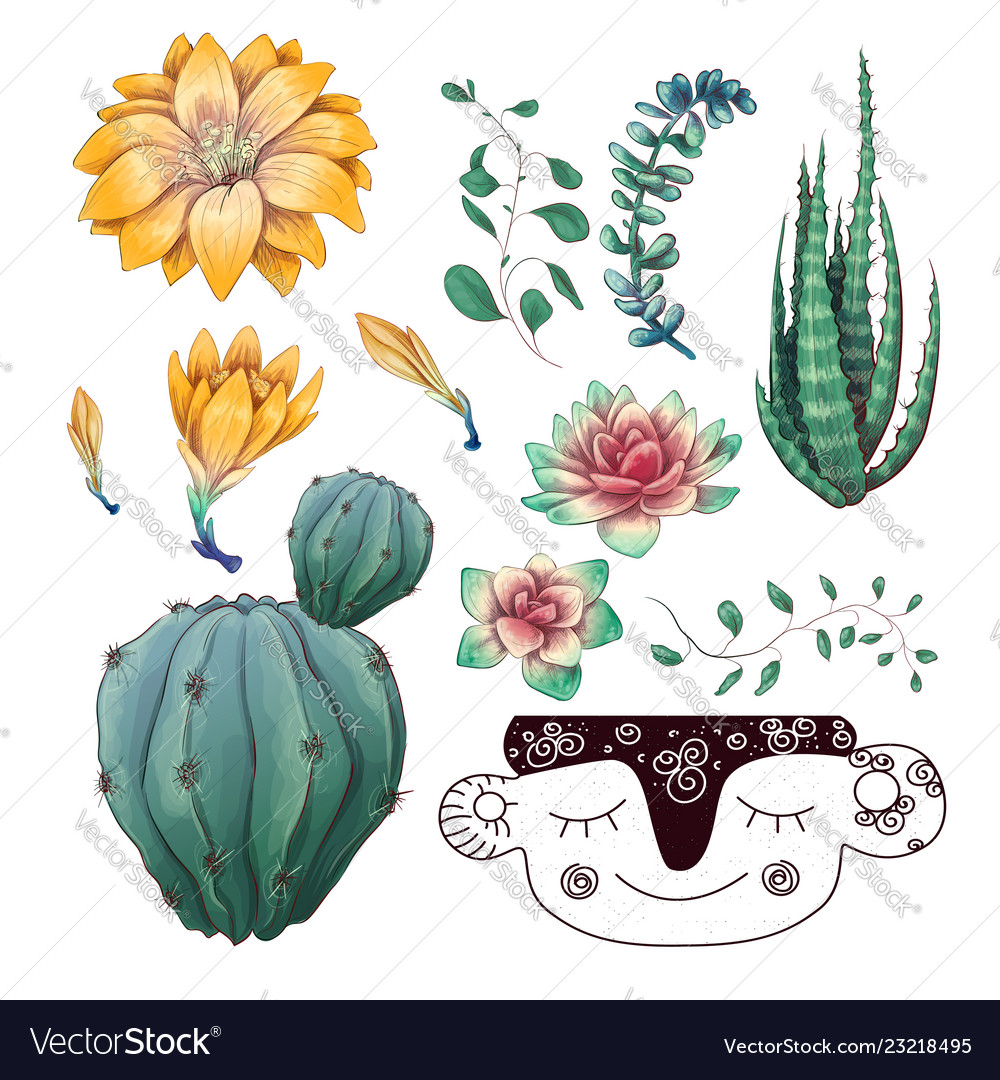 Potted cacti and succulents plants badge