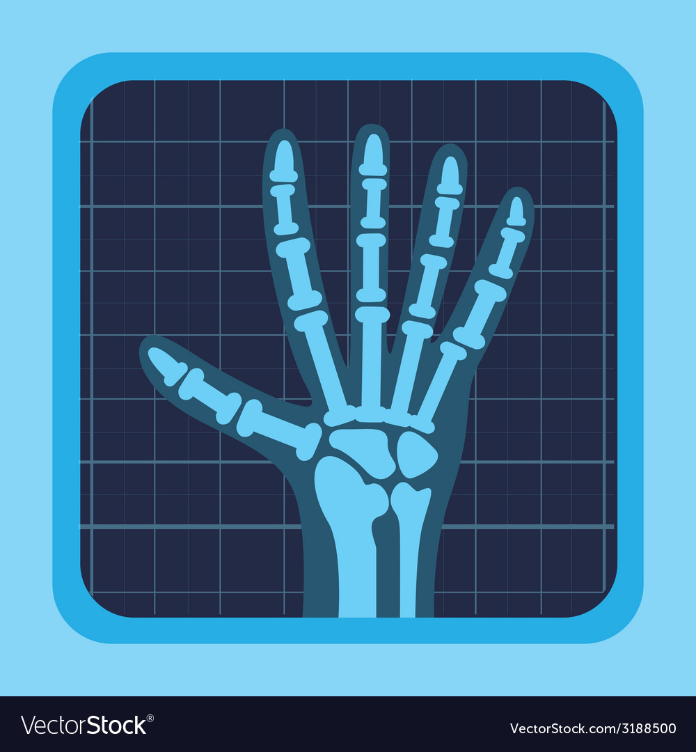 X rays design Royalty Free Vector Image - VectorStock