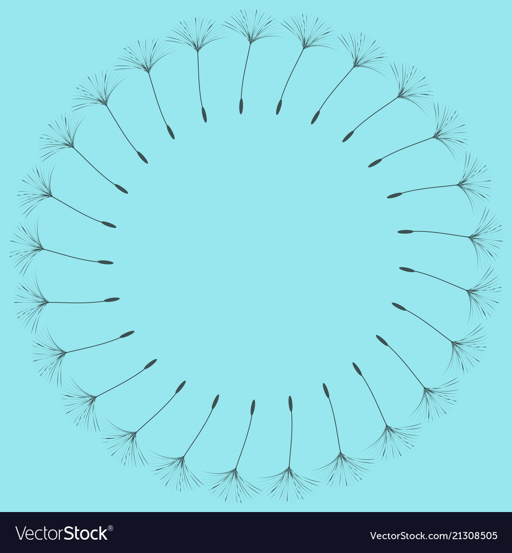Abstract frame of a dandelion for design vector image Abstract frame of a dandelion for design