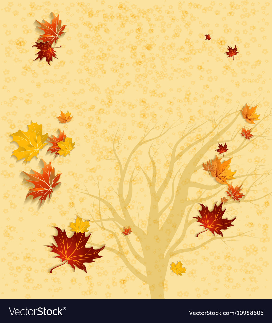 Autumn background and tree silhouette