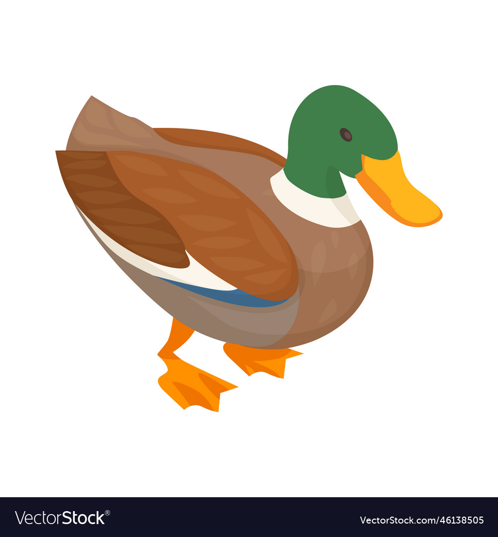 Farm duck isometric composition Royalty Free Vector Image