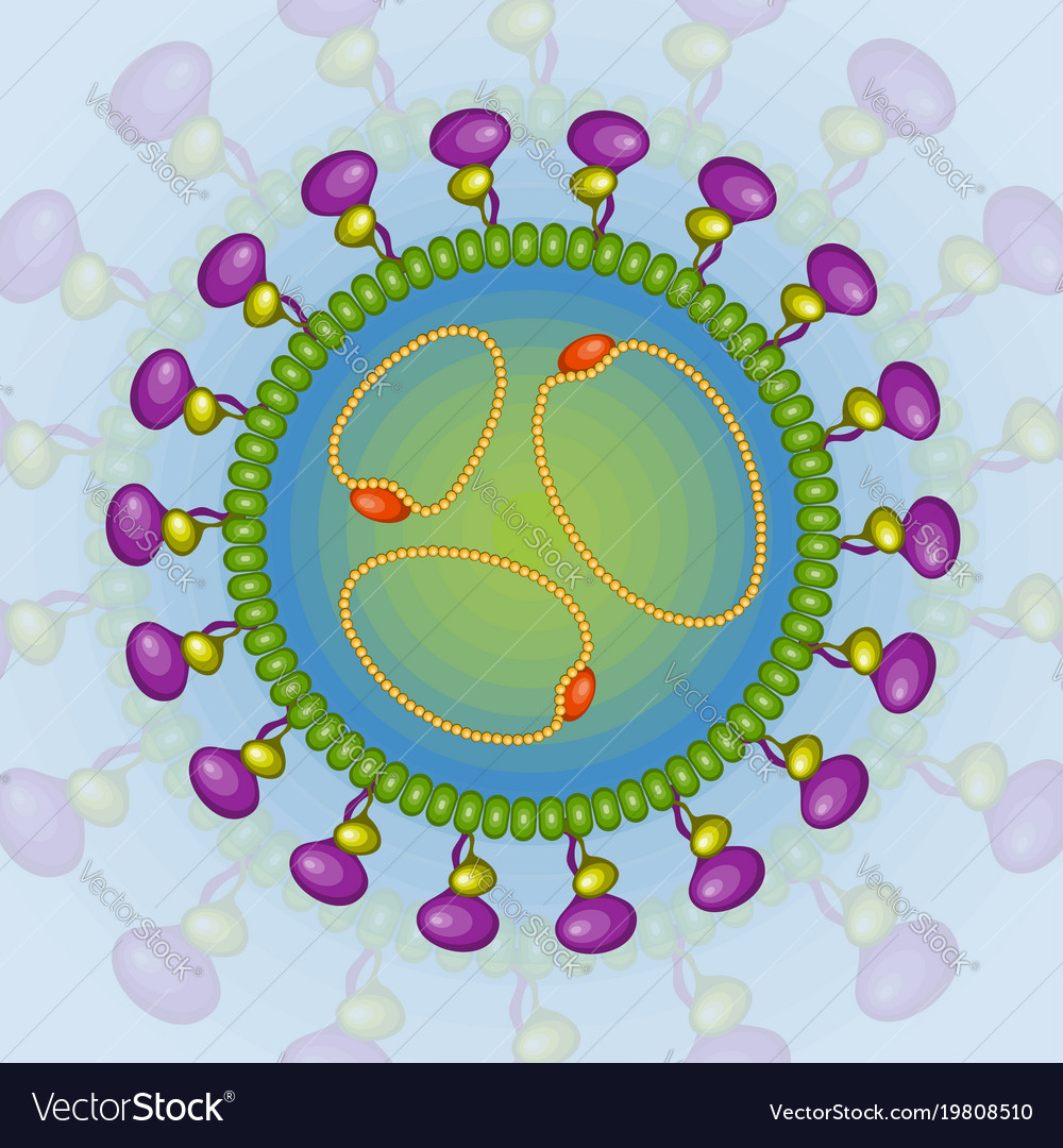 Bunya virus background eps 10 Royalty Free Vector Image