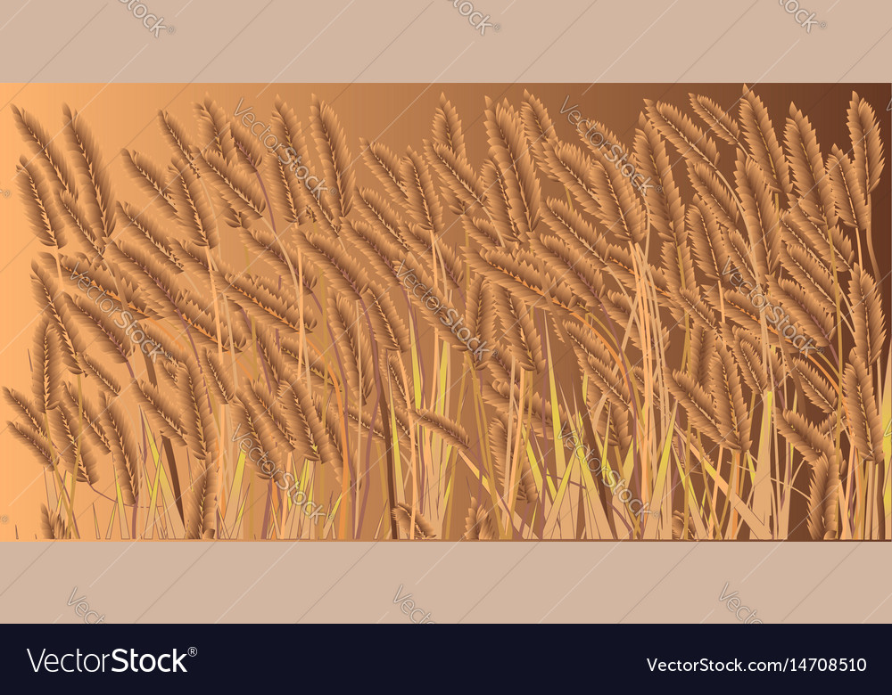 Crop field Royalty Free Vector Image VectorStock