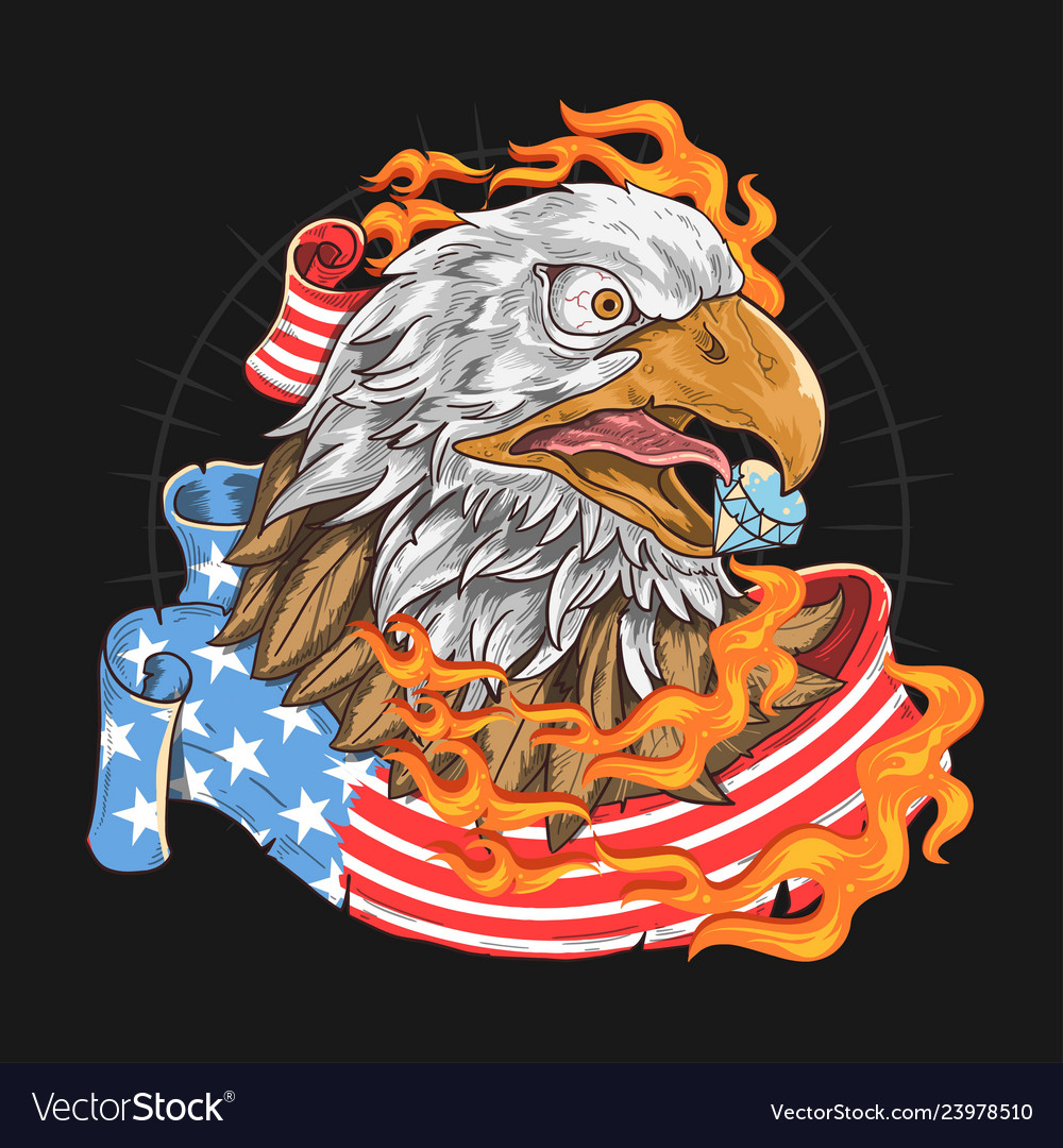 Eagle usa flag fire Royalty Free Vector Image - VectorStock