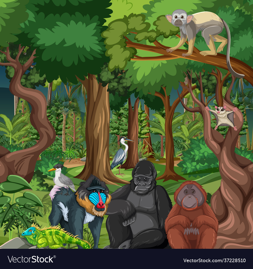 Rainforest scene with wild animals