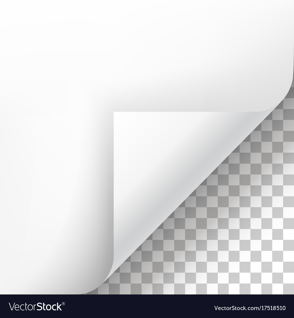 White Paper Curl with Shadow