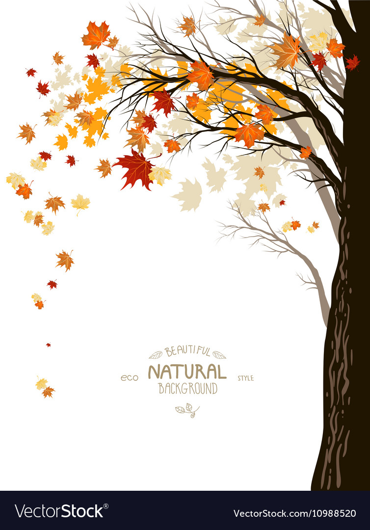 Autumn Tree Silhouette Background