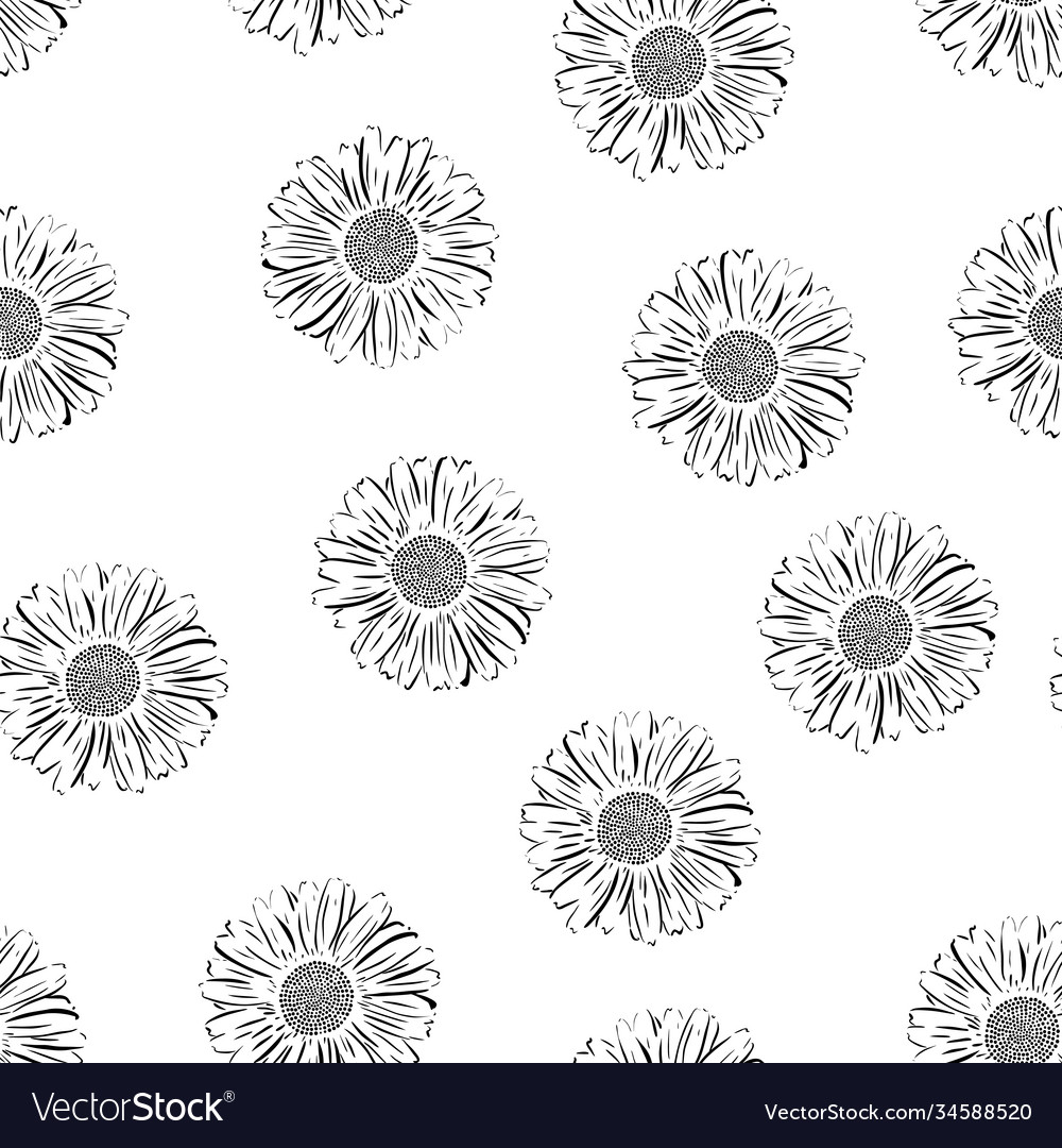 Seamless pattern with chamomiles