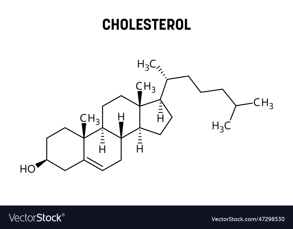 Cholesterol structural formula of molecular Vector Image